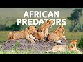 The Legendary Lions Fight Against Deadly Predators For Food | [4K] Wildlife Documentary