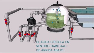 Cómo funciona una depuradora de piscina (Parte 2)