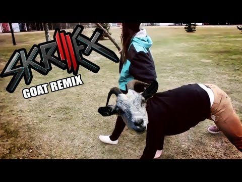 Oxhamns Elevkårsprogram 2013