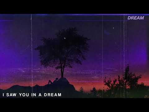 sapientdream - i saw u in a dream