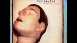 The Posies - Flood of Sunshine