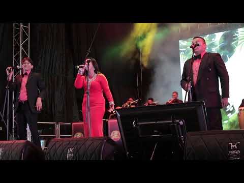 Mosaico Nº 1 - Sinú Orquesta