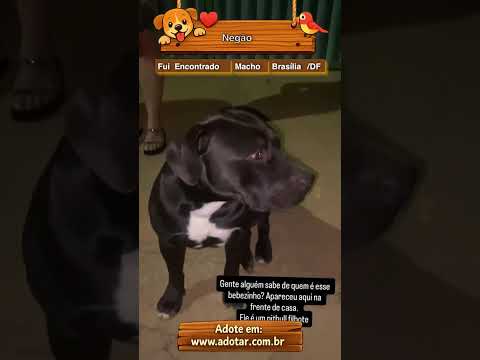 Vídeo de Negão
