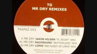 Tim Green - Mr Dry (dachsund bottemless mix )