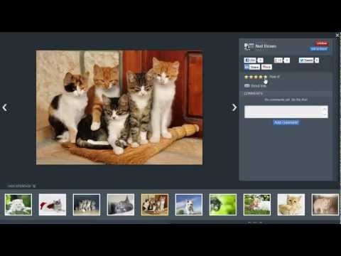 SocialMediaBox - for EasyDNNgallery and DotNetNuke