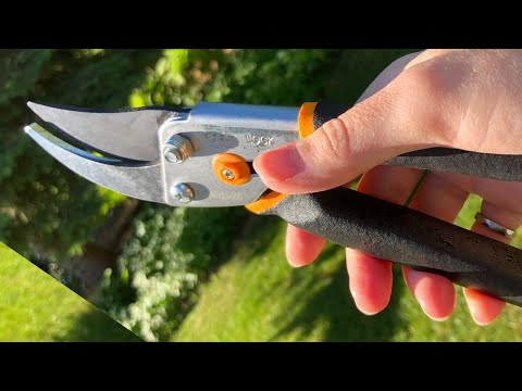Fiskars Pruners ✂️ 🙌 Gardener's Review
