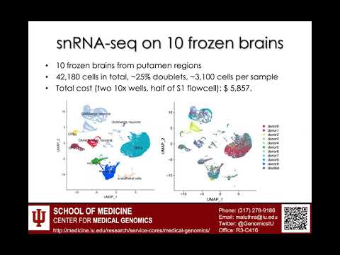 B4B: Module 7 - Single Cell - Overview