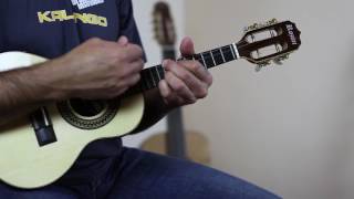 Video thumbnail for Cavaquinho Profissional eléctrico - Rozini (A316081 - kalango.com) by KALANGO | brazilian instruments