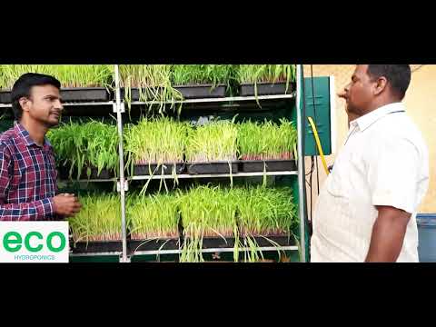 AgroStudio farmer feedback video