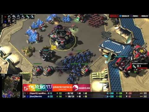 The Foreign Hope   Bunny v Nerchio G2