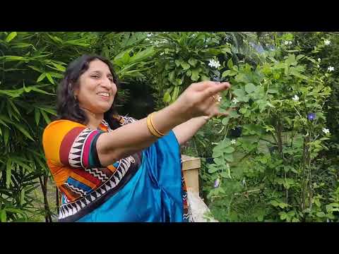 Morning Motivation - Connect with Nature | My Garden Tour | Life Coach Sheeja