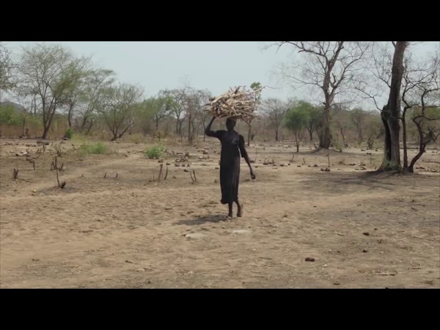 Últimos quatro anos foram os mais quentes já registrados