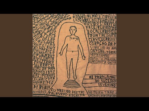 Navegar Impreciso - Os Paralamas Do Sucesso