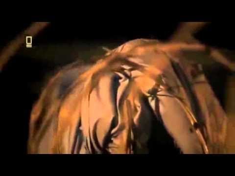 Prison Breaks - Ausbruch aus dem Supermax [DOKU DEUTSCH]