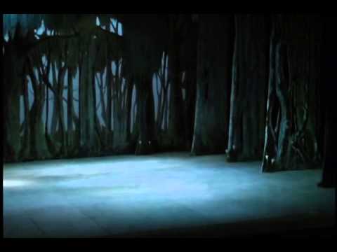 Giselle - Festival de Ballet de La Habana 2012 - parte 4