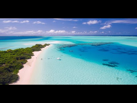 Cát Bụi Cuộc Đời, Chiều Sân Ga   LK Nhạc Vàng Hải Ngoại Xưa Hay Nhất