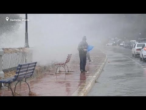 It's 'raining fish' in Malta after storm brings high waves