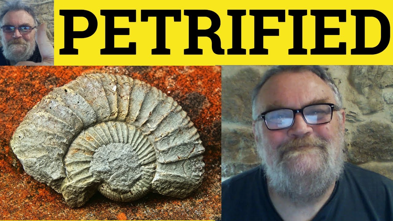 😎 Petrified Meaning - Petrify Defined - Petrifying Examples - Petrified Defined - Petrify Petrified