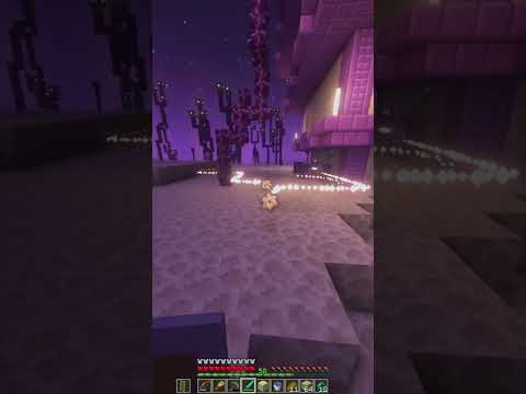 Insane Shaders & Mods in Minecraft 1.19 SMP!