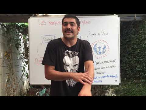 ECOLOGIA - Ciclo Biogeoquímico do Oxigênio