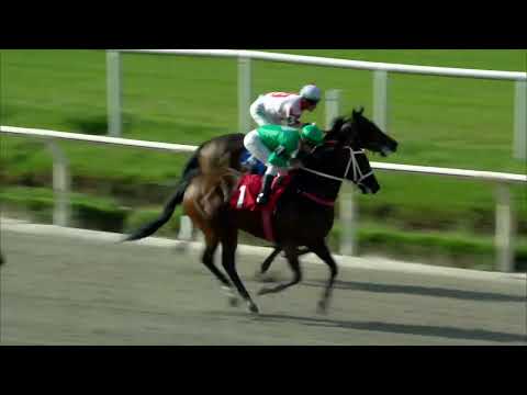 221125 c01 - 1° OTIMA FESTA (BRZ)