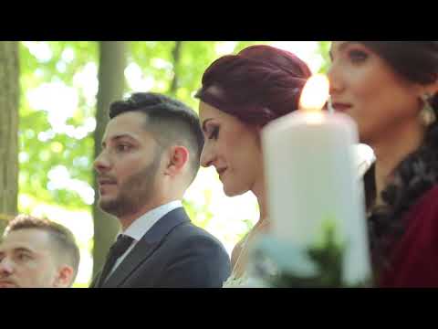 Studio Creativ Daniel Costache TreeHouse Cosoba