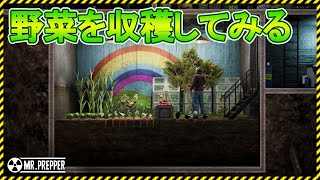 新作【Mr.Prepper】前回植えた野菜を収穫してみた！デモ版【Steam】ミスタープリッパー