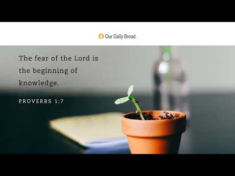 A Teachable Spirit | Audio Reading | Our Daily Bread Devotional | July 12, 2022