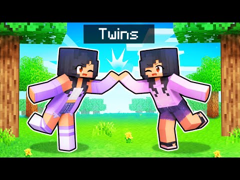 Twin Sister Minecraft Mayhem