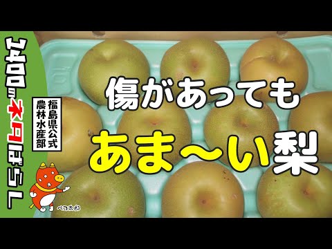 果樹を守る冬のベール 2023