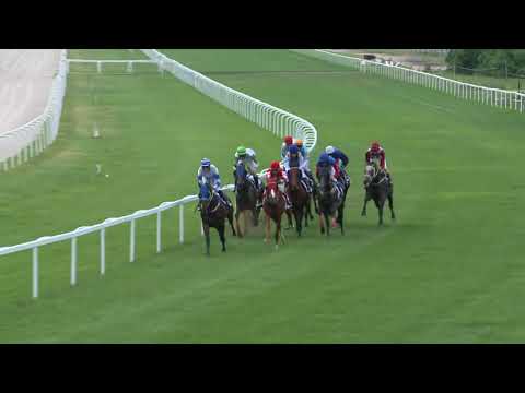 2018.06.10. 7. futam - DIÓSPUSZTAI DÍJ (I.kat.)