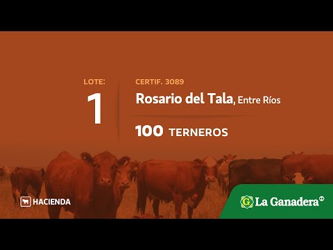 Lote Terneros en Rosario del Tala