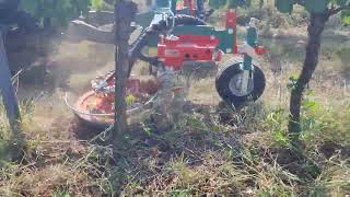Clemens Clemens Zwischenstockmulcher other farm equipment for sale - Image 4 | Agronetto ZW Clemens Clemens Zwischenstockmulcher other farm equipment | Image 4 - Agronetto