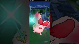 モナンの日100 連引いてみた【ドラクエタクト】