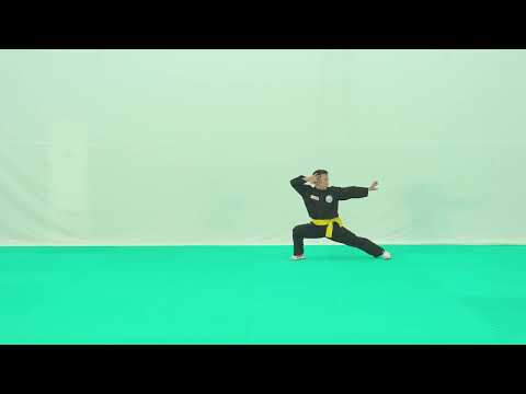 Lão mai quyền – Tư liệu chuẩn hoá năm 2025 | Vocotruyen Vietnam