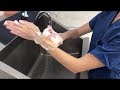Anatomical Surgical Hand Scrub