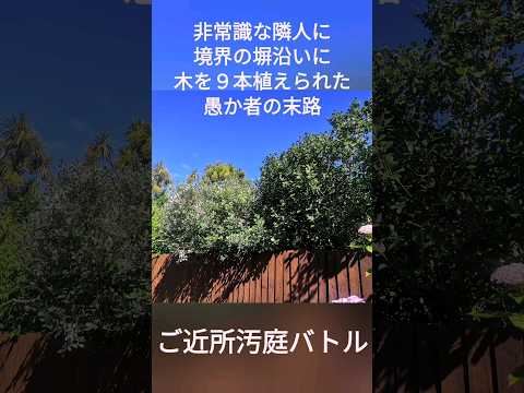 向かい側のテラスガーデンの美しさのパーゴラの木製エクステリアカーテンを隠す方法