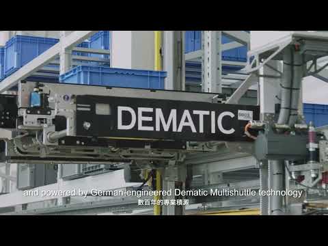 Dematic Multishuttle FD Shuttle System