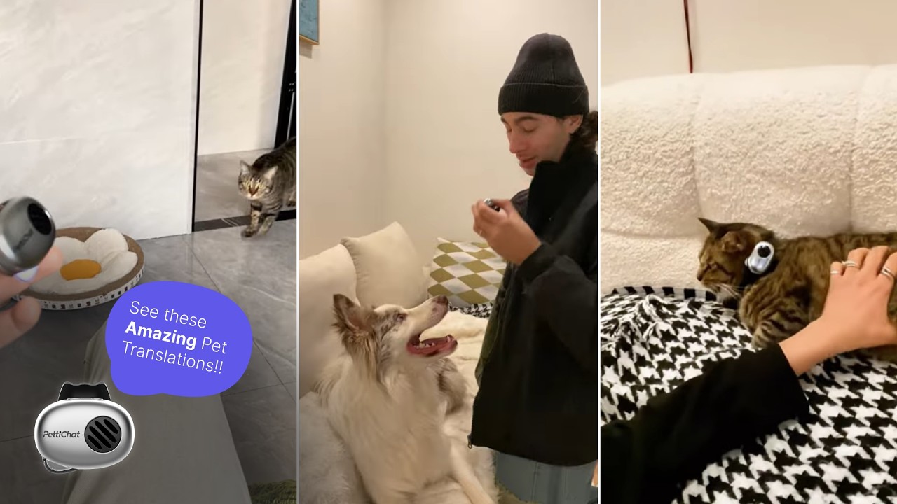 The FUTURE of Human-Pet Communication is here!