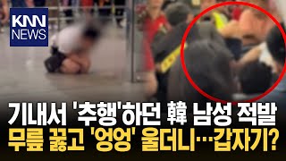 태극기 달고 '변태 짓'한 남성 붙잡히자 무릎 꿇고 '엉엉'? 황당/ KNN
