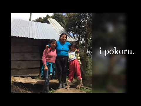 Minga Foundation to Support Native People of Ecuador