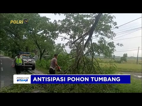 POLSEK KWADUNGAN BERGERAK CEPAT TINDAKLANJUTI LAPORAN WARGA TERKAIT ADANYA POHON MIRING