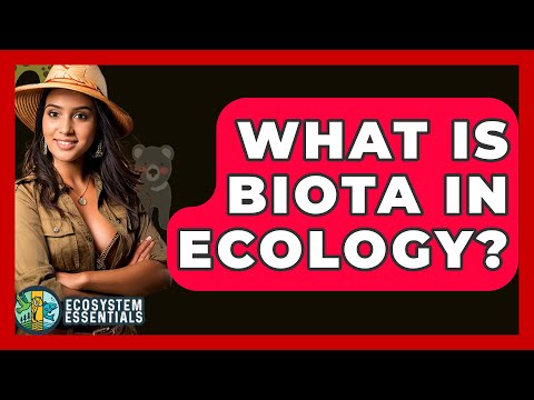 What Is Biota In Ecology? - Ecosystem Essentials