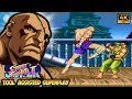 Sagat In Action Street Fighter 2 Turbo TAS 100 Perfect