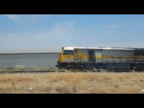 Qube Grain Train with 1102, RL309, 1103 & CM3313 loading at Dimboola bound for NSW - 30/12/2019