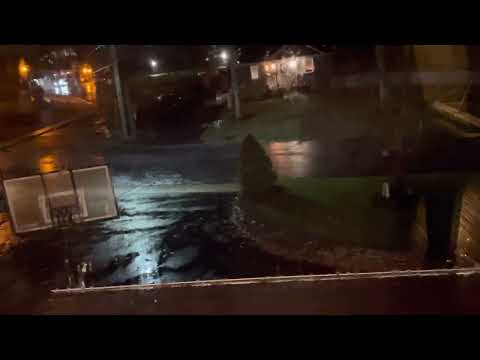 Rain in Smithtown NY - November 15th, 2022 - 7:50PM