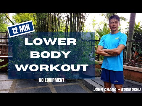 12 MIN Leg workout - Butt, Thighs & Calves - INTENSE NO Equipment Workout //16