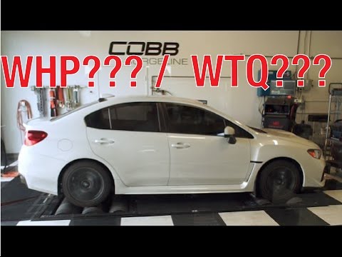 2016 WRX Stage 2+ COBB Surgeline Dyno Tune FA20DIT