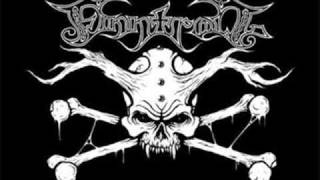 Finntroll Det Iskalla Trollblodet