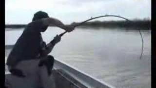 BIGGEST CATFISH I HAVE EVER SEEN CAUGHT